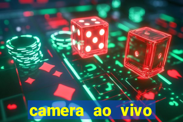 camera ao vivo terminal vila nova cachoeirinha