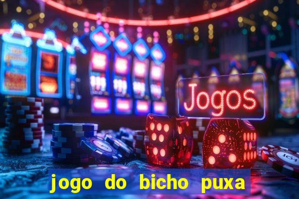 jogo do bicho puxa de dona maria