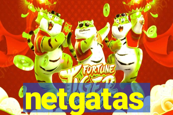 netgatas