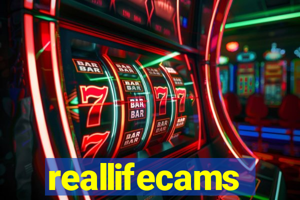 reallifecams