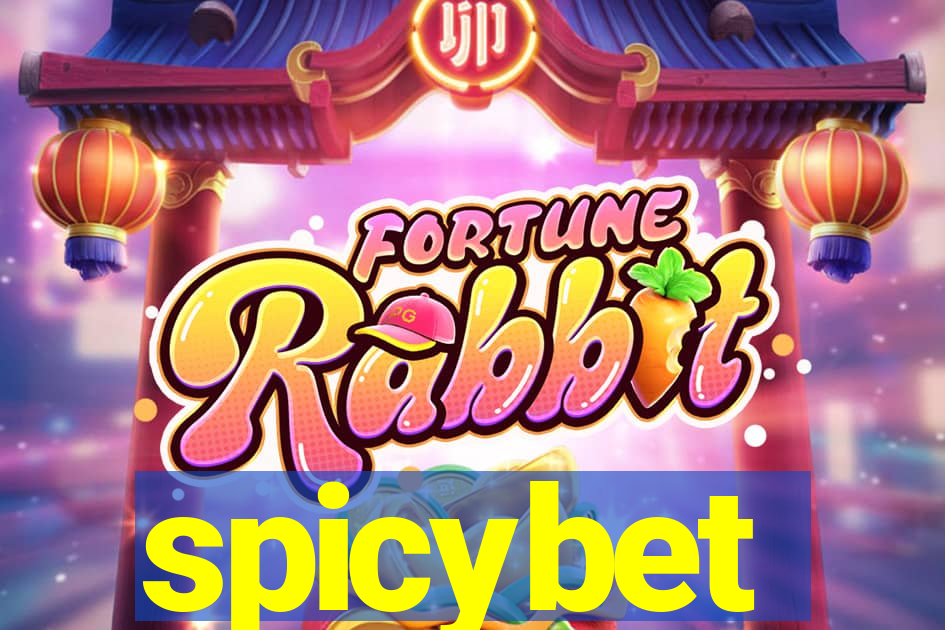 spicybet-2.com