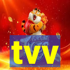 tvv-pg.com